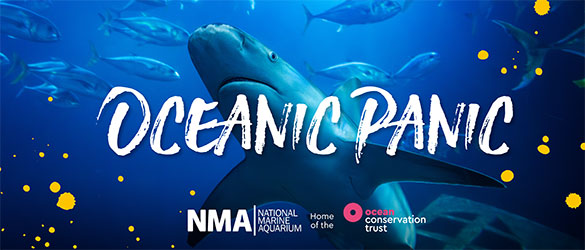 Oceanic Panic live escape room at Escapism Plymouth